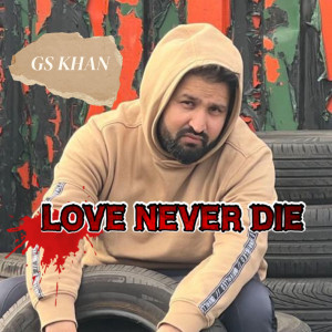 Listen to Love Never Die song with lyrics from Gs Khan