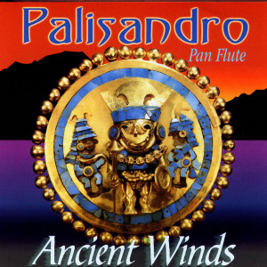收聽Palisandro的Sound Of Silence歌詞歌曲
