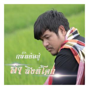 ดาวน์โหลดและฟังเพลง กลั้นบ่อยู่ พร้อมเนื้อเพลงจาก อ๋า สิงห์โคก
