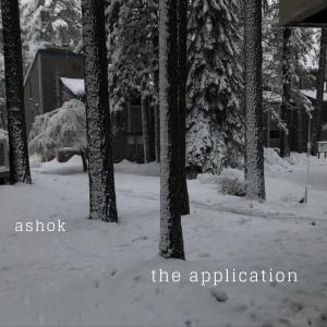 Ashok的專輯the application (Explicit)