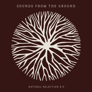 Sounds From The Ground的專輯Natural Selection