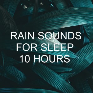 อัลบัม Rain Sounds for Sleep 10 Hours ศิลปิน Mother Nature Sound FX