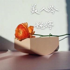 Album 美人吟 from 黄婉婷