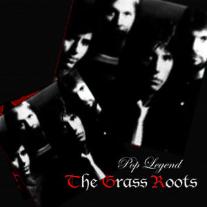 收聽The Grass Roots的Things I Should Have Said歌詞歌曲