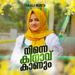 Listen to Nine kinav kannum song with lyrics from Anjala Nusreen