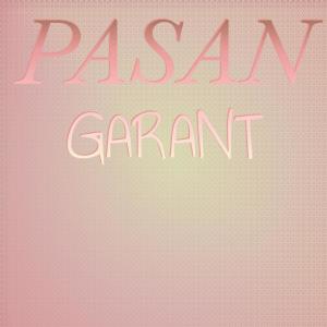 Various的专辑Pasan Garant