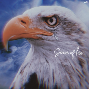 Album Sense of loss oleh Toyohide