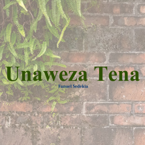 อัลบัม Unaweza Tena ศิลปิน Fanuel Sedekia