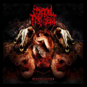ดาวน์โหลดและฟังเพลง Profane พร้อมเนื้อเพลงจาก Mortal Torment