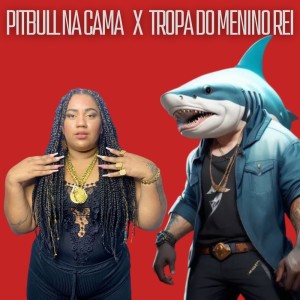Dengarkan lagu Pitbull na Cama X Tropa do Menino Rei (Explicit) nyanyian Shark Bo$$ dengan lirik