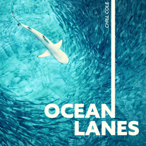 Listen to Tropical Evenings song with lyrics from Chill Cole