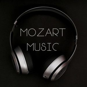 收听Ochestre de chambre tchécoslovaque de Prague的Eine kleine Nachtmusik, K. 525: II. Romanze. Andante歌词歌曲