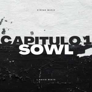 Listen to Free song with lyrics from Sowl