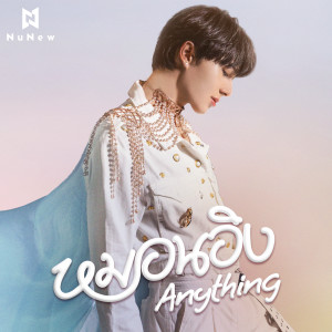 อัลบัม หมอนอิง (Anything) ศิลปิน NuNew