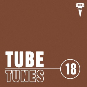 Various Artists的專輯Tube Tunes, Vol. 18