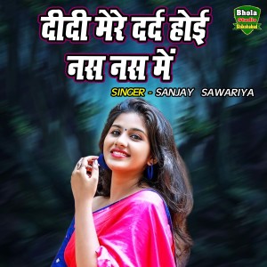 收聽Sanjay Sawariya的Didi Mere Dard Hoyi Nas Nas Main (hindi)歌詞歌曲