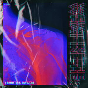 收听T-Shirts的What in The.. (其他)歌词歌曲