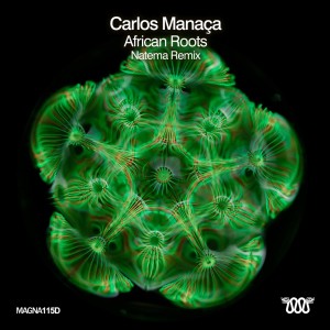 Listen to African Roots (Original Mix) song with lyrics from Carlos Manaca