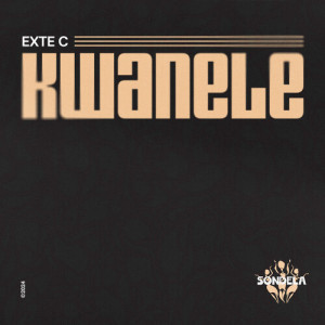 Listen to Kwanele song with lyrics from Exte C