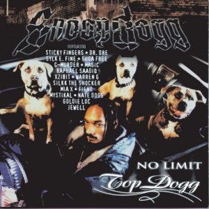 ดาวน์โหลดและฟังเพลง Doin' Too Much (Edited) พร้อมเนื้อเพลงจาก Snoop Dogg