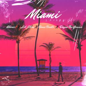 ดาวน์โหลดและฟังเพลง Miami (feat. Lil slim) พร้อมเนื้อเพลงจาก Alaric.