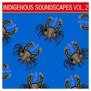 Album Indigenous Soundscapes, Vol. 2 from Ash Dargan