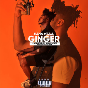 Listen to Ginger song with lyrics from Nanamilla