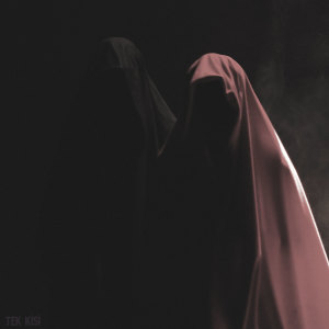 Album Tek Kişi from 