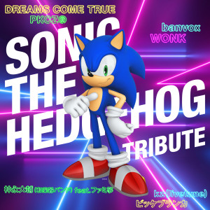 Various Artists的專輯Sonic the Hedgehog Tribute