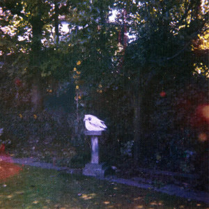 Listen to Yuk Foo (Explicit) song with lyrics from Wolf Alice