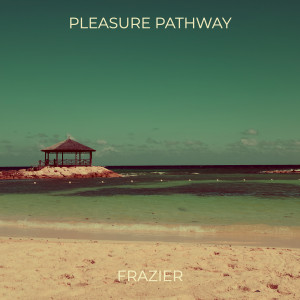 Listen to Pleasure Pathway (Explicit) song with lyrics from Holywood Argyles