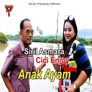 Dengarkan lagu Anak Ayam nyanyian Siril Asmara dengan lirik