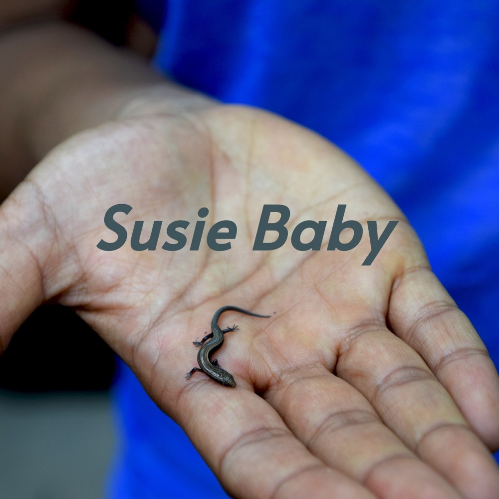 Susie Baby