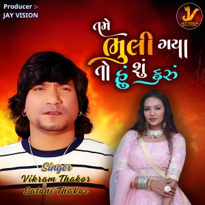 Album Tame Bhuli Gaya To Hu Su Karu from Vikram Thakor
