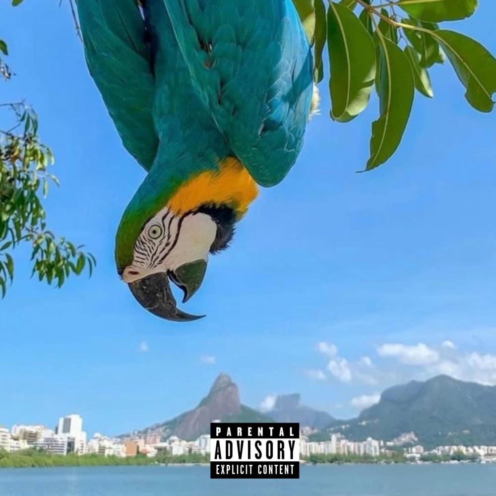Rio (Explicit)