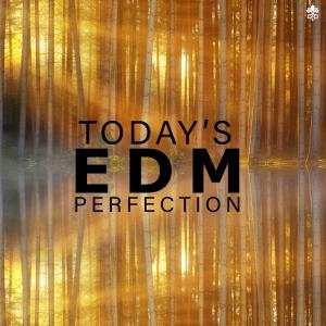 Album Today's EDM Perfection from Various