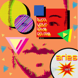 Album Turn Your Love on Me (80 Mix) from 