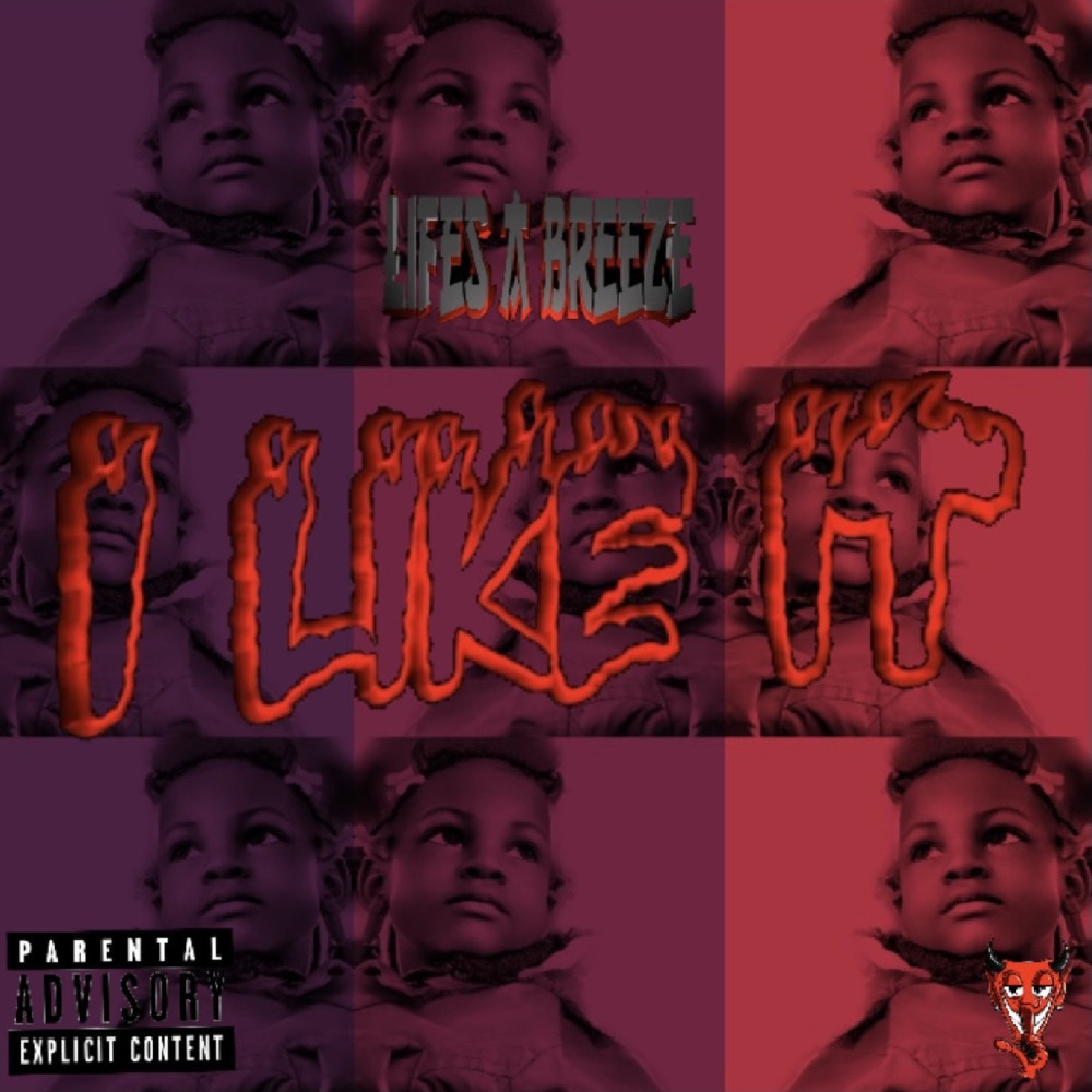 I Like It (Explicit)