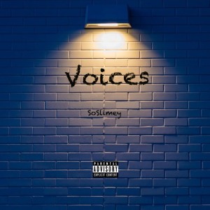 SoSlimey的专辑Voices (Explicit)