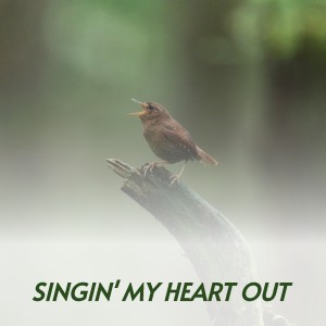 Dengarkan Let It Be Me lagu dari Jeannie Seely dengan lirik