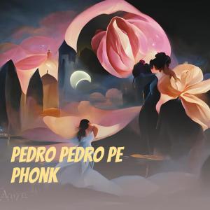 KENGKUZ MUSIC的專輯Pedro Pedro Pe Phonk