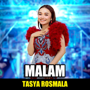 收聽Tasya Rosmala的Malam歌詞歌曲