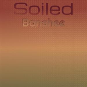 Various的专辑Soiled Banshee