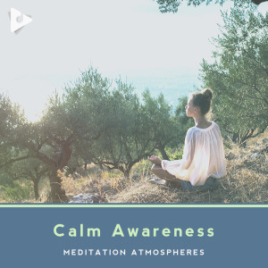 อัลบัม Calm Awareness ศิลปิน Meditation Atmospheres