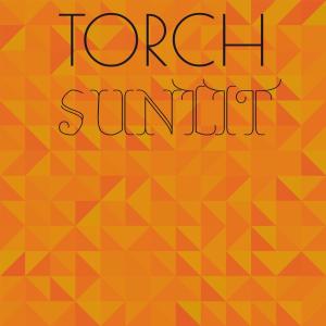 Album Torch Sunlit from Various