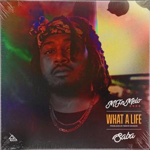 What a Life (Explicit)