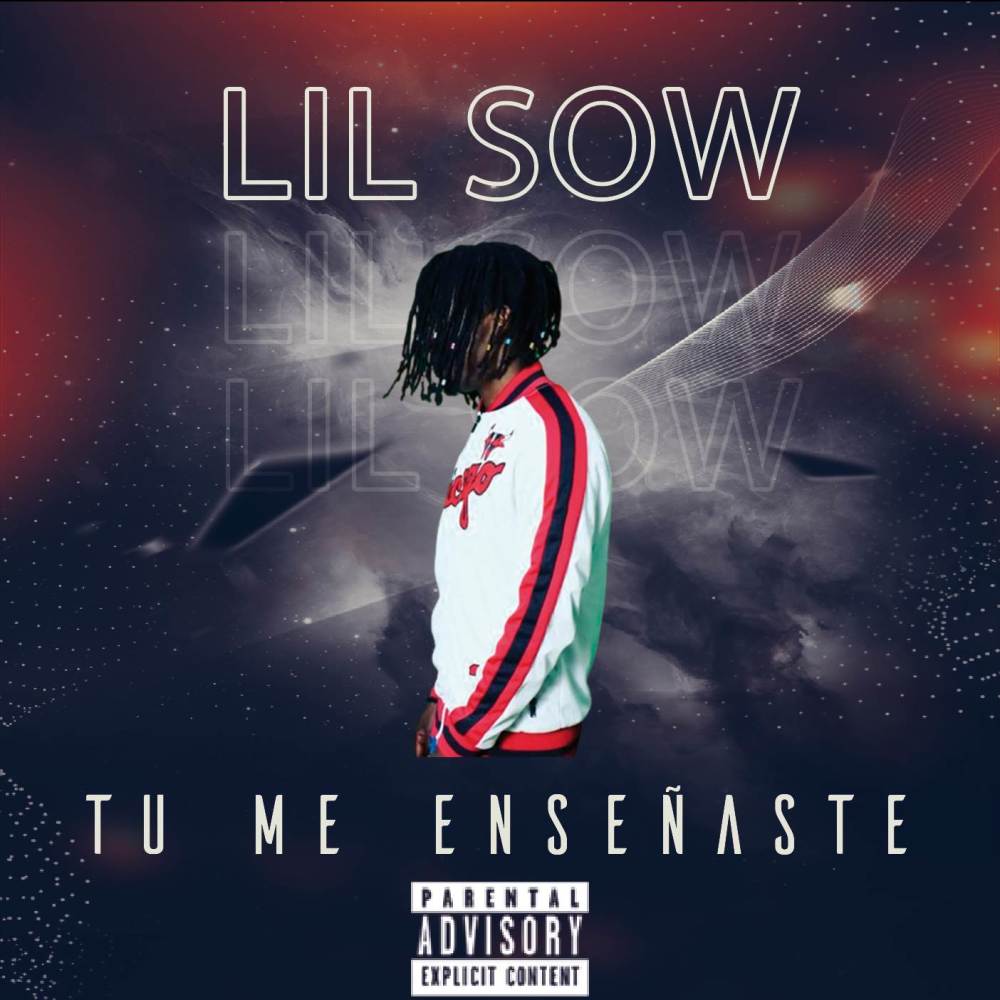 Tu Me Enseñaste