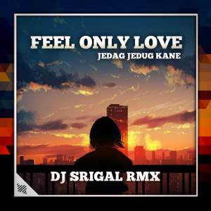 Dj Srigal Rmx的專輯DJ FEEL ONLY LOVE JEDAG JEDUG KANE