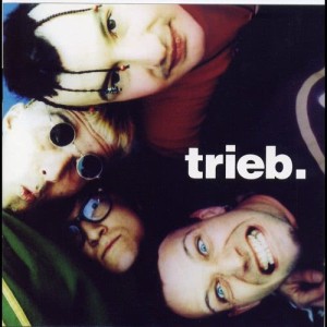 ดาวน์โหลดและฟังเพลง Besser พร้อมเนื้อเพลงจาก Trieb.