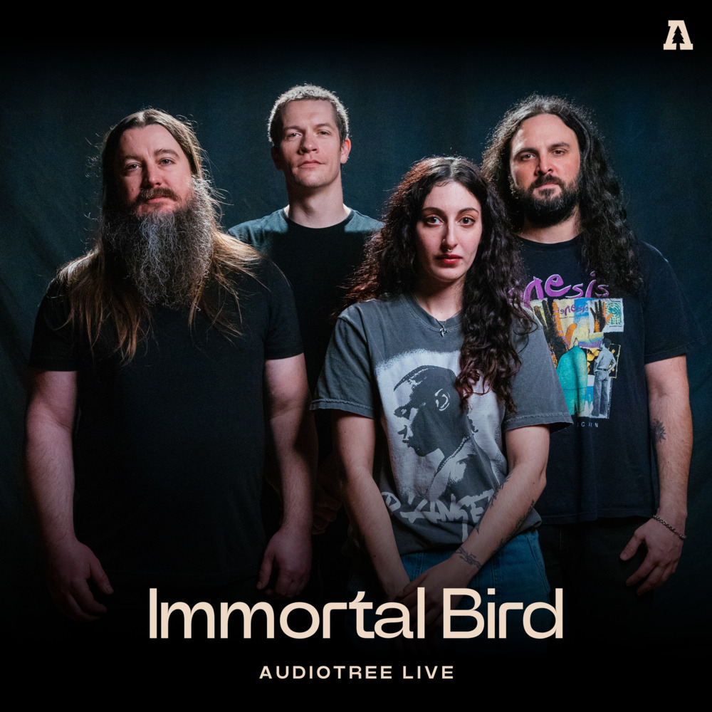 Sin Querencia (Audiotree Live Version)